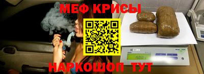 стаф Заводоуковск