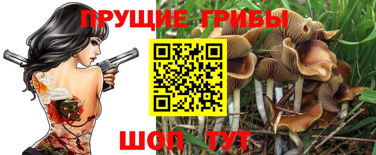 Мелеуз  Галлюциногенные грибы GOLDEN TEACHER  Галлюциногенные грибы Magic Shrooms  Вход с VPN 